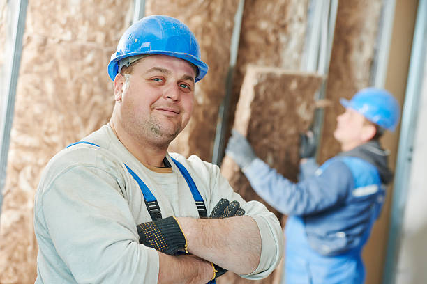 Best Insulation for Existing Homes  in Locust, NC